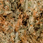 BlackDiamond-LuckyFarms-03