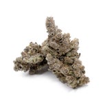 BlackMilk-Albatross-03