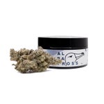 BlackMilk-Albatross-03