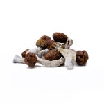 BluePulaski-AmazeballsMushrooms-01