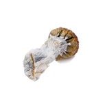 BluePulaski-AmazeballsMushrooms-01