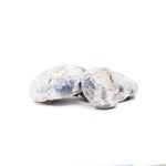 BlueyVuitton-Amazeballs-01