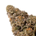 CookiesandCream-PeopleChoice-03