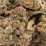 CookiesandCream-PeopleChoice-03