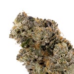 DeathBubba-Albatross-03