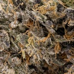 DeathBubba-Albatross-03