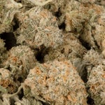 GMacSmalls-LuckyFarms-02