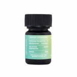 Galaxy_6000MG_Front_EP_whitebg