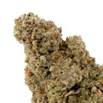 GlitterBomb-LukcyFarms-03