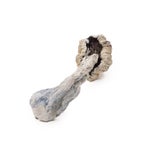 GoldenTeacher-DriedMagicMushrooms-02
