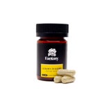 PsilocybeCubensis-FantasyPsychedelics (1)