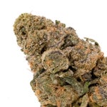 GreenCrackGod-PeoplesChoice-03