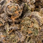 GreenCrackGod-PeoplesChoice-03