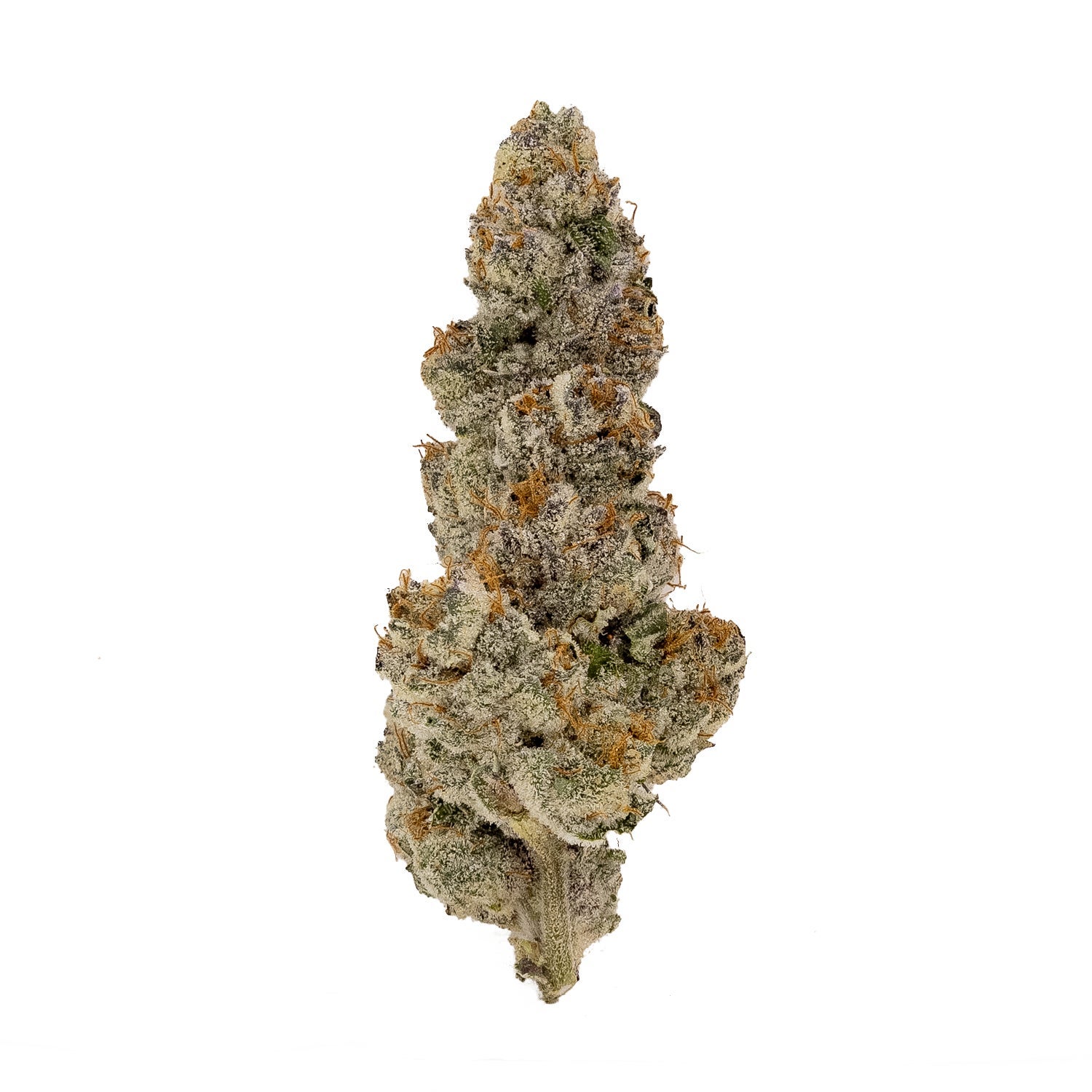 Gummiez-Albatross-03