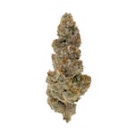 Gummiez-Albatross-03