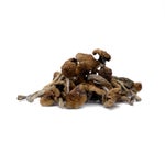 Malabar-AmazeballsMushrooms-01