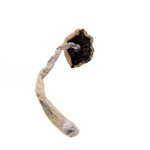 Malabar-AmazeballsMushrooms-01