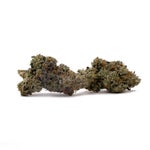 OriginalPurpleKush-Albatross-03