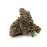 OriginalPurpleKush-Albatross-03