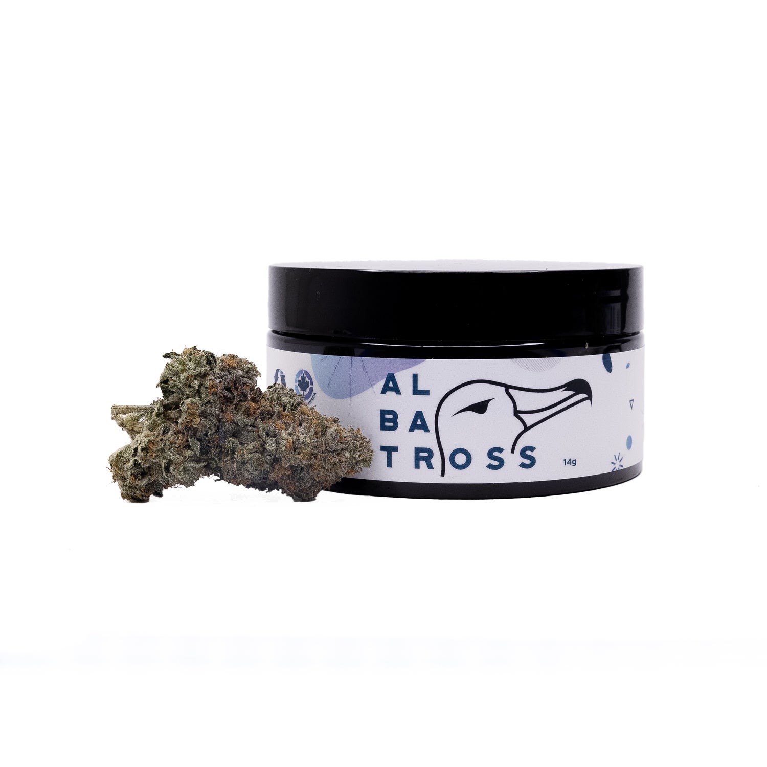 OriginalPurpleKush-Albatross-07