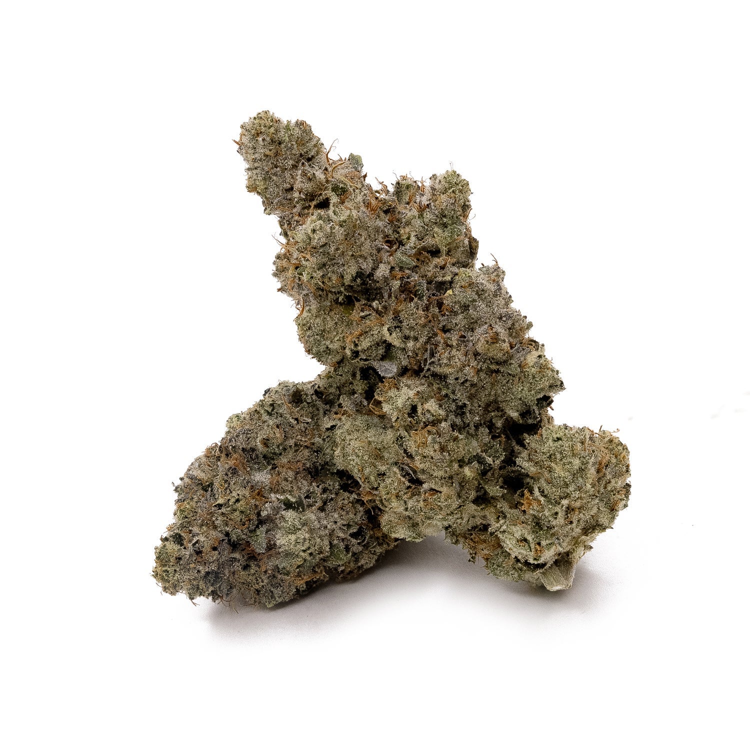 PinkGrease-Albatross-02