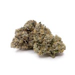 PugJunky-Albatross-03