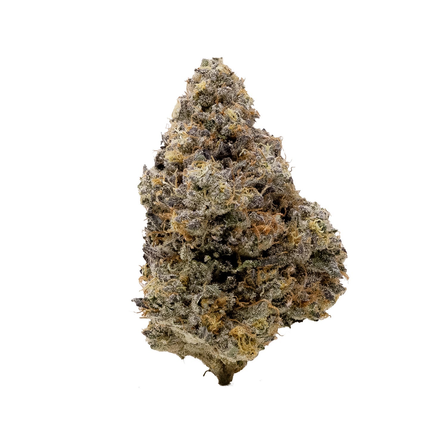 PugJunky-Albatross-03