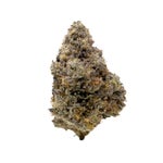 PugJunky-Albatross-03