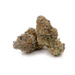 PunchBreath-Albatross-03