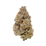 PunchBreath-Albatross-03