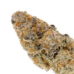 PunchBreath-Albatross-03