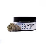 PunchBreath-Albatross-03