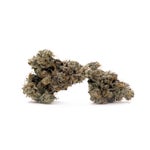 PurpleCoffeeKush-Albatross-03