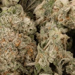 PurplePunchSmalls-LuckyFarms-02