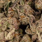 PurpleSpaceCookiesSmalls-LuckyFarms-02