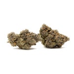 RainbowChip-JungleRidge-03