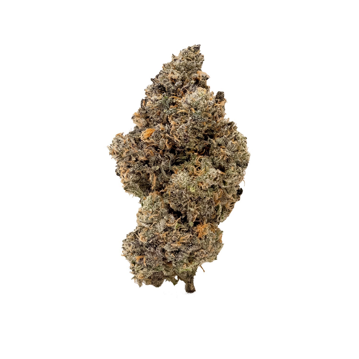 RainbowChip-JungleRidge-03