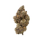 RainbowChip-JungleRidge-03