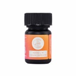 Skywalker_3000MG_Front_EP_whitebg