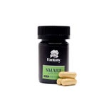 PsilocybeCubensis-FantasyPsychedelics (1)