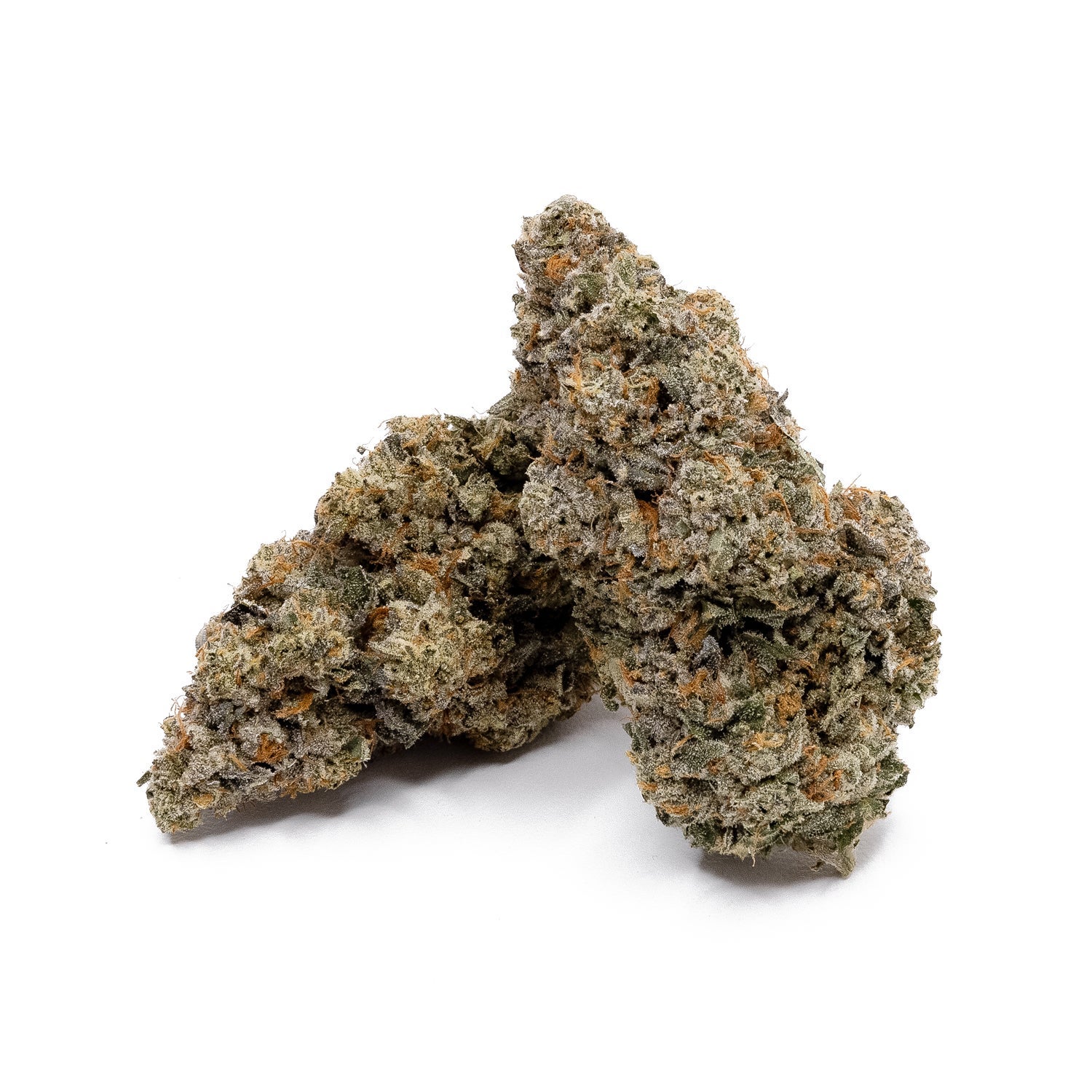 SourBestShitEver-Albatross-02