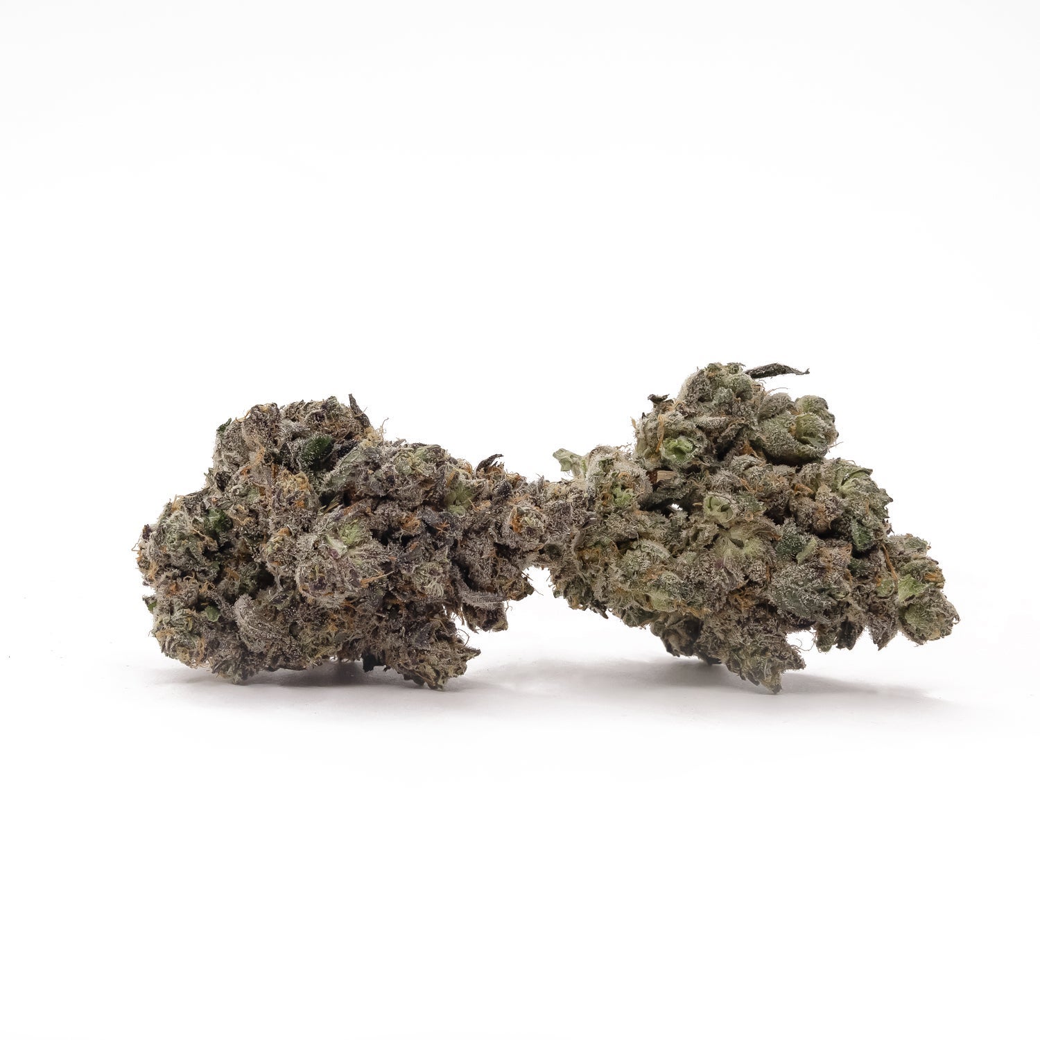 SuperSecret-Albatross-01