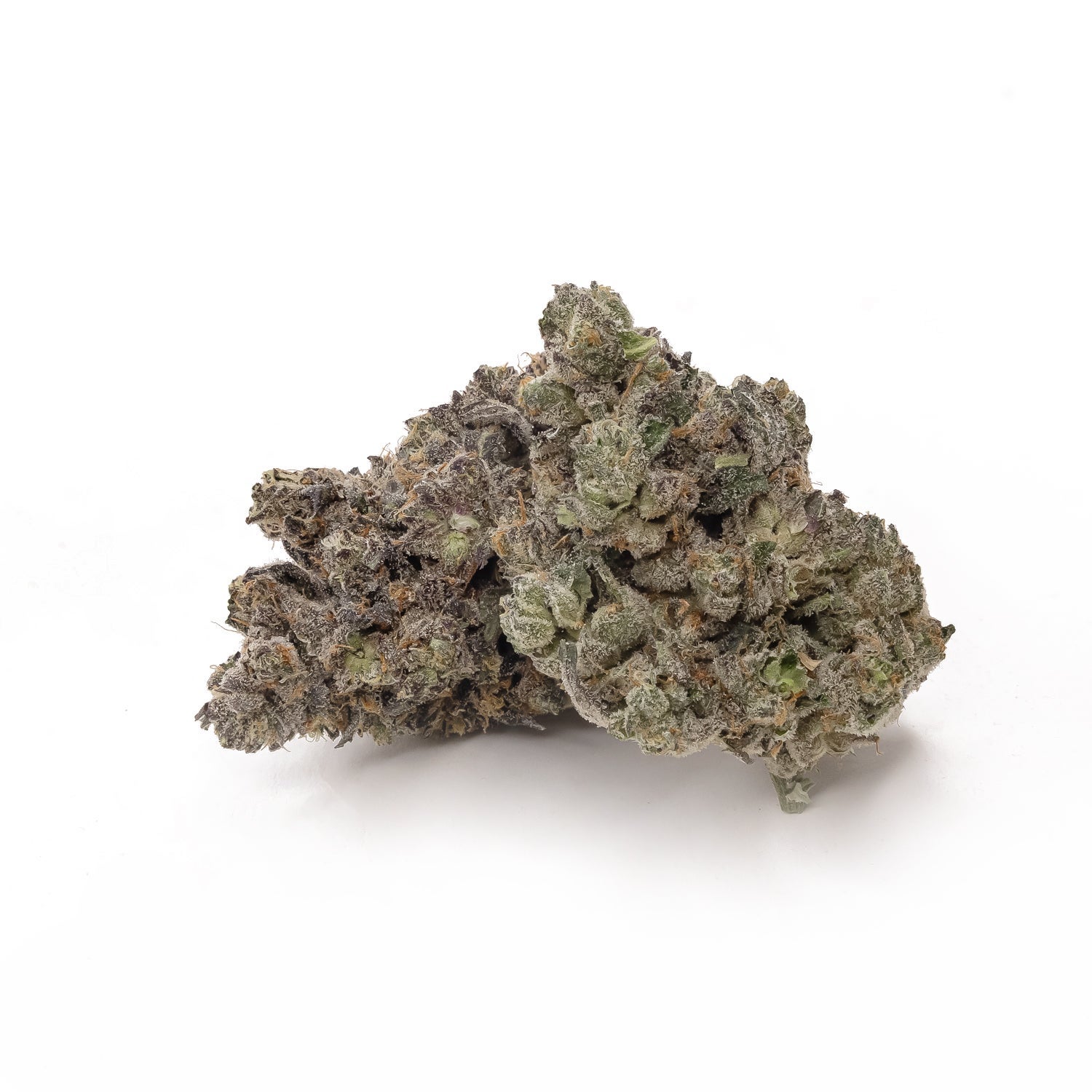 SuperSecret-Albatross-02