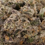 SuperSecret-Albatross-03