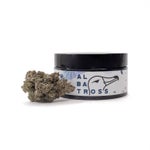 SuperSecret-Albatross-03