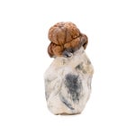 TexasYellowCap-DriedMagicMushrooms-01