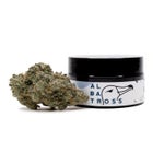 TriplePastry-Albatross-07