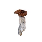 Vietnamese-AmazeballsMushrooms-01