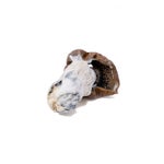 Vietnamese-AmazeballsMushrooms-01