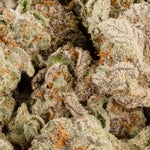 WarBirdSmalls-MumsCannabis-02
